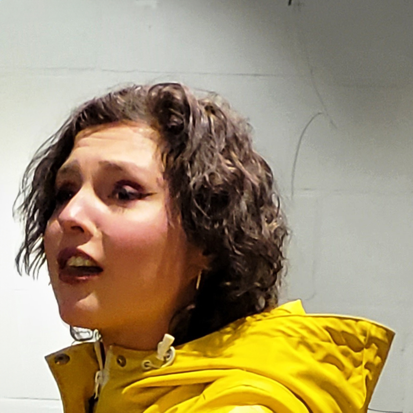 Sophie de Koeijer