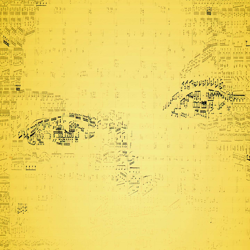 Muziekblad met muzieknoten in een donkere kleur en lichte kleur waardoor er twee ogen zichtbaar worden