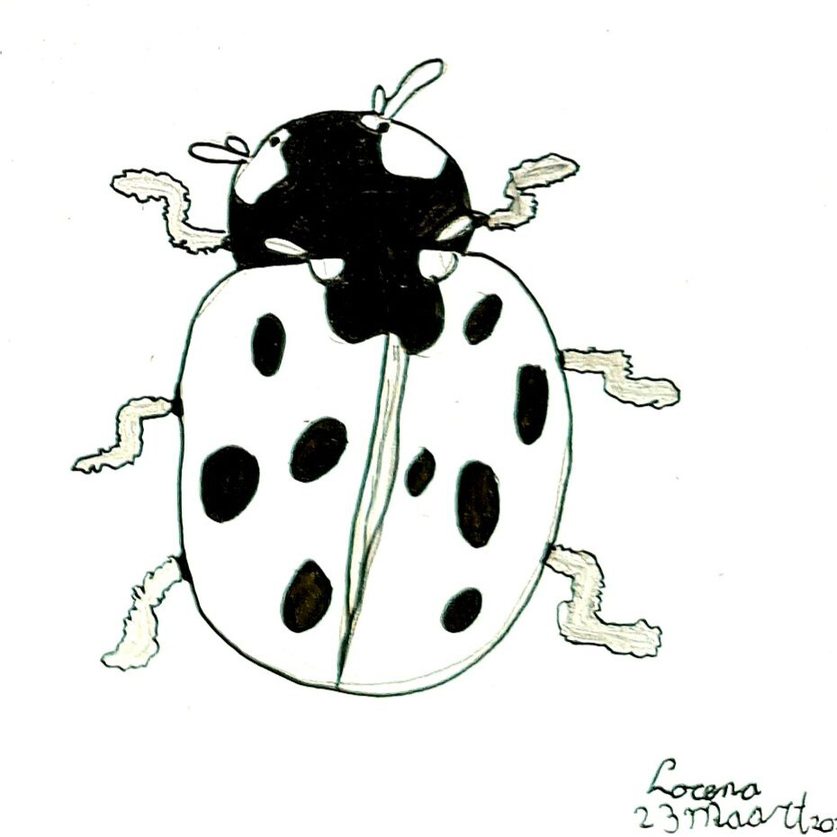 lieveheersbeestje getekend in zwart en wit