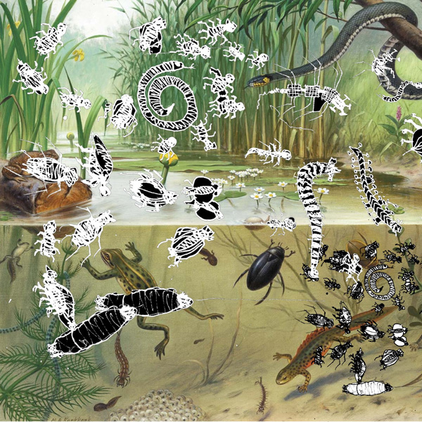 beestjes onder water - foto met daarover getekende beestjes