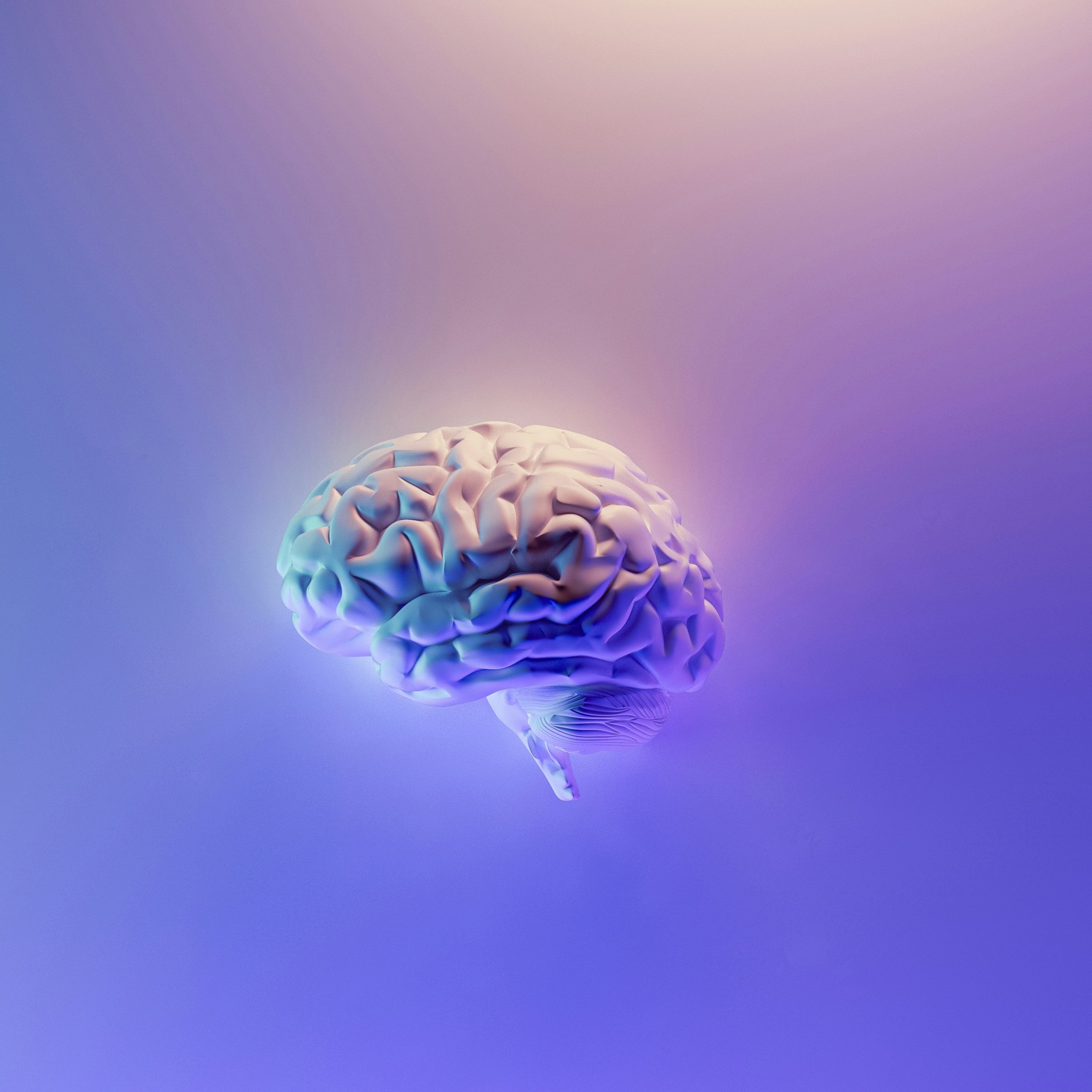 Brains by Milad Fakurian