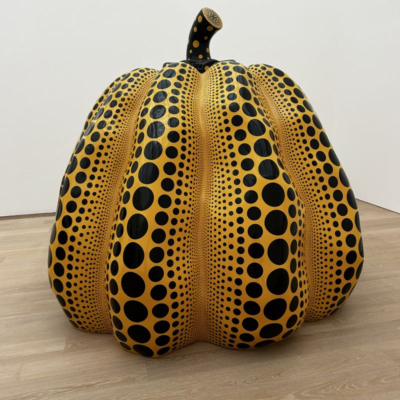 Yayoi Kusuma beeld