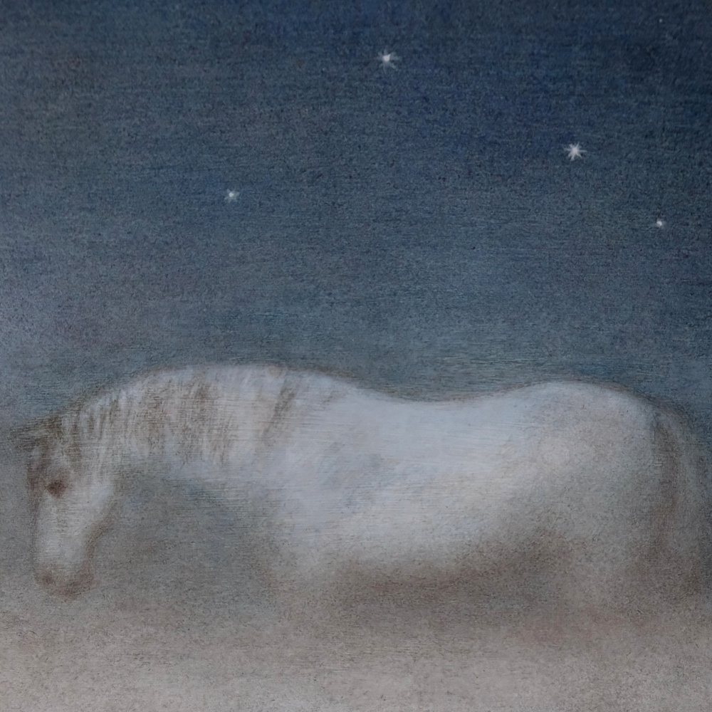 paard AnnamáriaPaizs